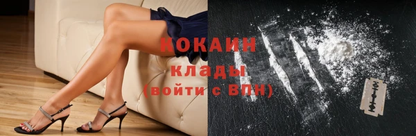 бошки Белокуриха