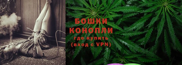 бошки Белокуриха
