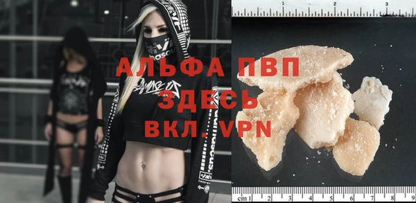 бошки Белокуриха