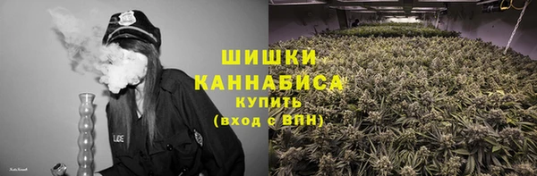бошки Белокуриха